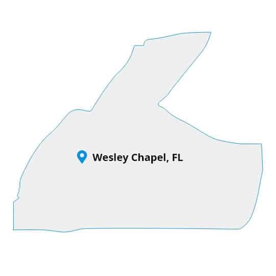 cleaning services wesley chapel fl